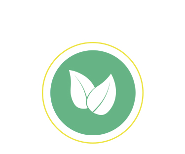Natural Camellia Seed Oil