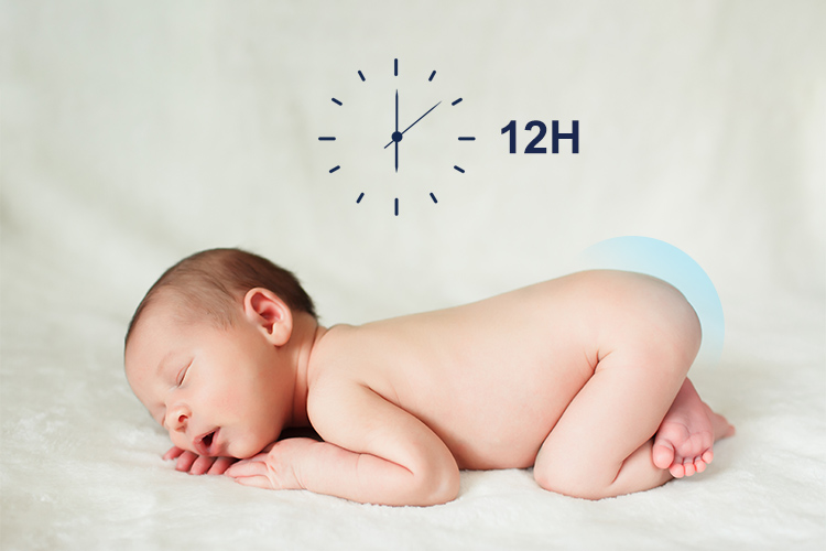 Plant-based Hypoallergenic Ingredients