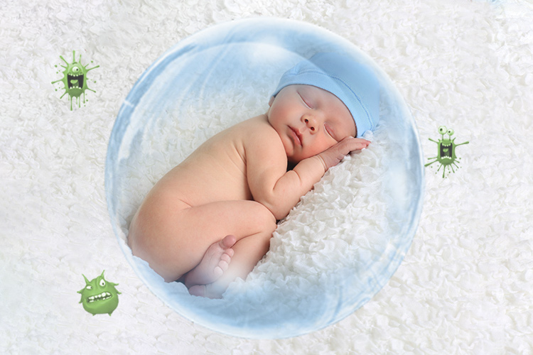 Plant-based Hypoallergenic Ingredients