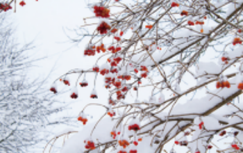 Tips To Take Care Of Your Baby During The Winter Season
