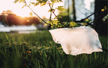 Simple Ways To Reduce Plastic Waste